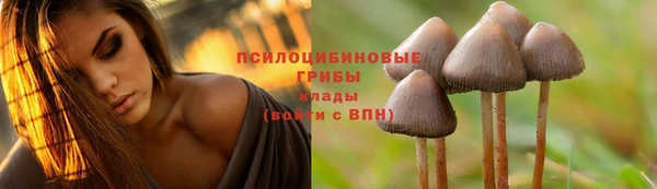 мяу мяу мука Алексеевка