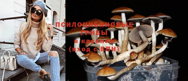 PSILOCYBIN Алексин