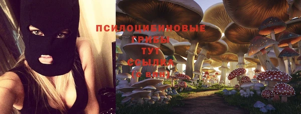 мяу мяу мука Алексеевка