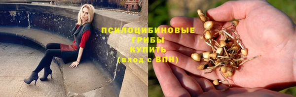 мяу мяу мука Алексеевка
